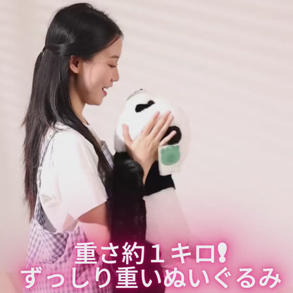 ひとり時間に寄り添う｜もちふわ癒しアニマルぬいぐるみ 60cm～65cm　